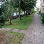 2d814ff1-23bc-ea2b-121f-78be69c4ba2c