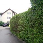 Dokument 2024-07-10 14_05