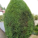 Dokument 2024-07-10 15_30