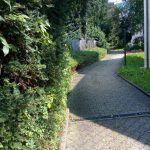 Dokument 2024-08-06 15_16