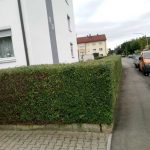 Dokument 2024-08-08 10_54 (1)